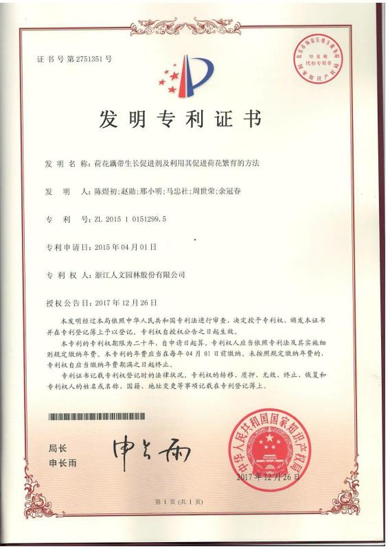 荷花藕带生长促进剂及利用其促进荷花繁育的方法(发明）
