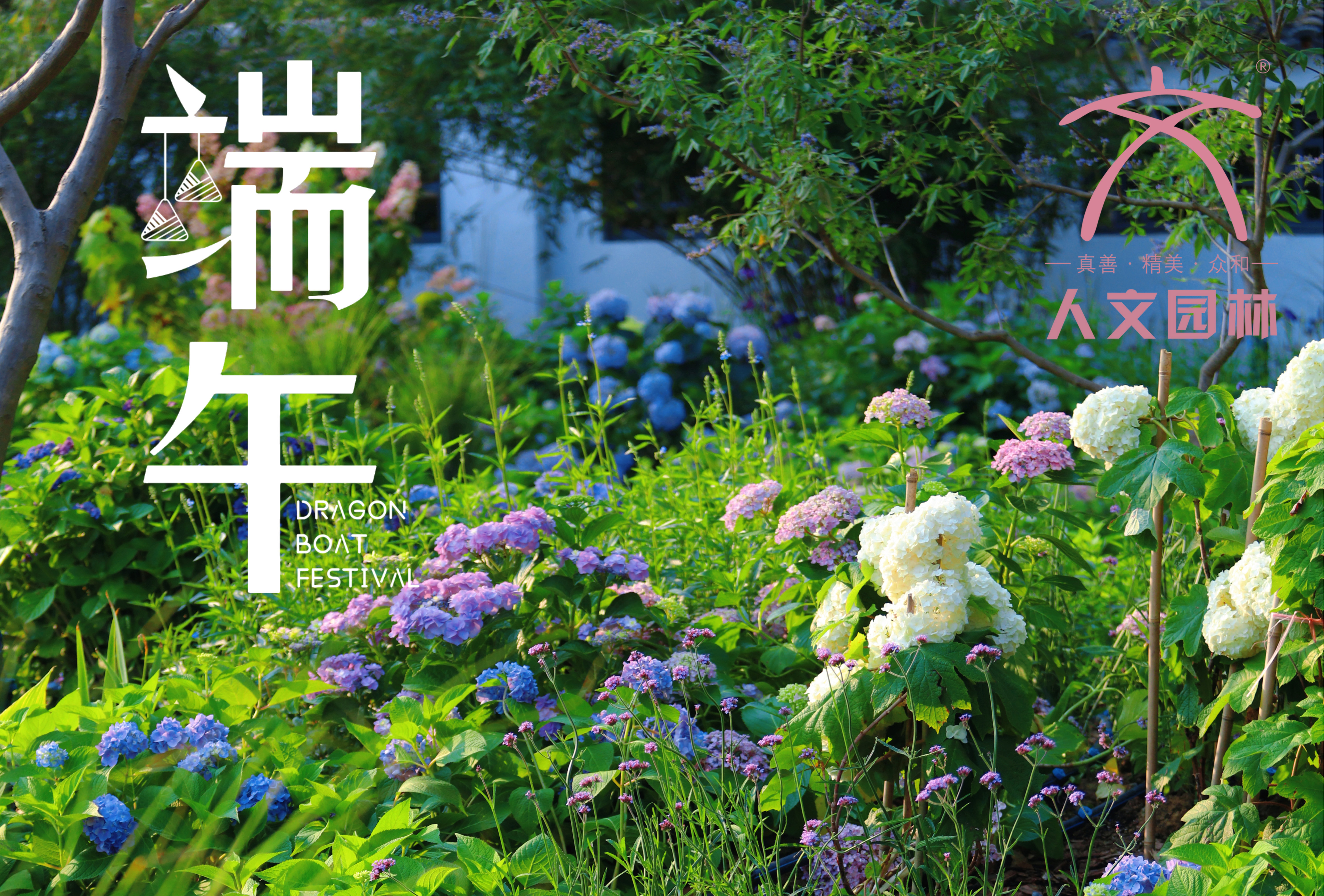 端午安康|与“花”相约，共赏佳节芬芳